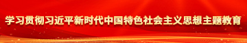 www.逼里啊啊学习贯彻习近平新时代中国特色社会主义思想主题教育